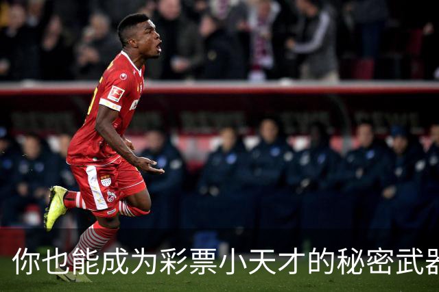 你也能成为彩票小天才的秘密武器