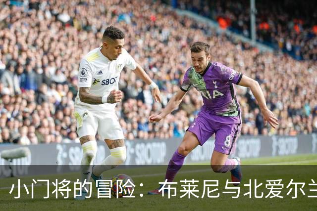 小门将的冒险：布莱尼与北爱尔兰的足球梦