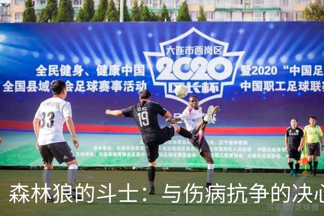 森林狼的斗士：与伤病抗争的决心与坚韧